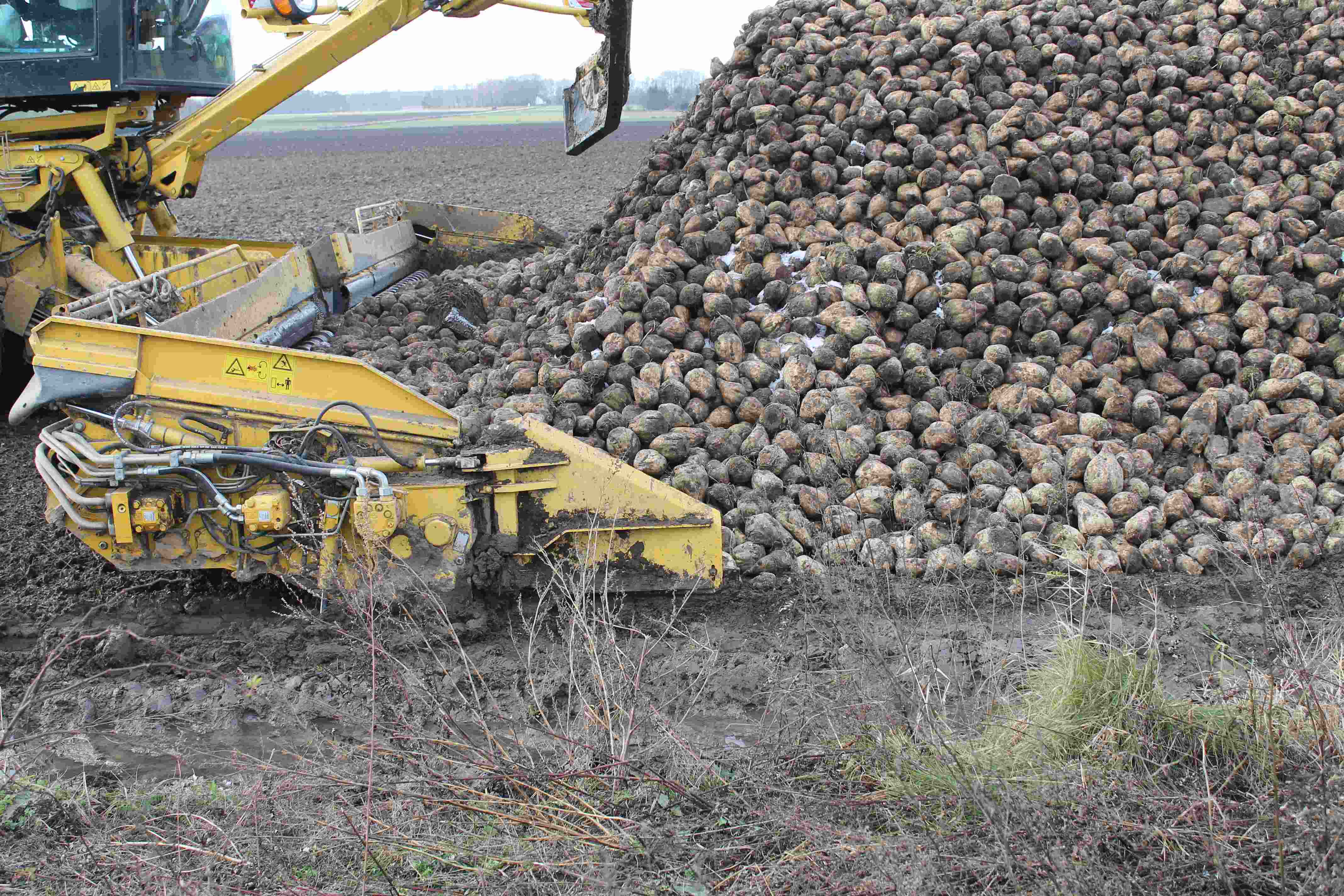 Spotkanie Związków oraz przedstawicieli Cukrowni w Dreglinie